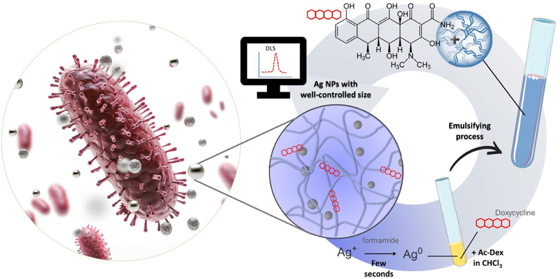 Graphical abstract showing ultra-small silver nanoparticles and doxycycline formed within acetalated dextran nanoparticles for antimicrobial applications